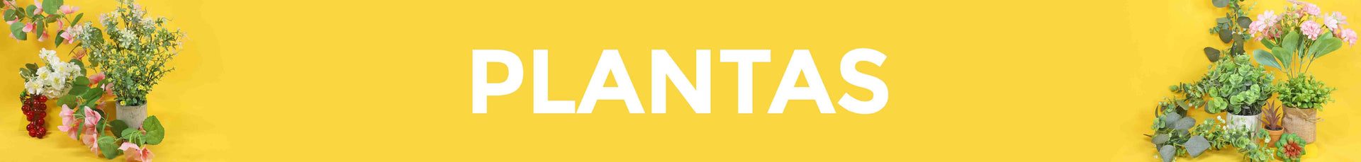 Plantas