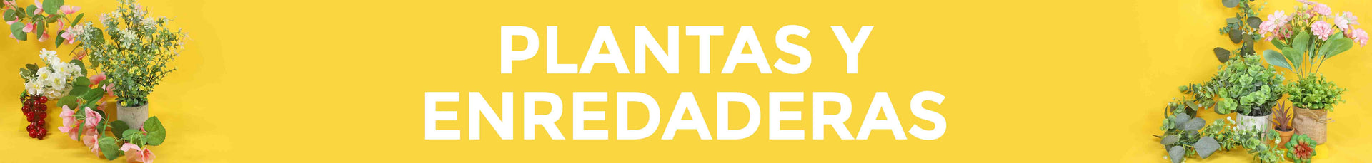 Plantas y Enredaderas