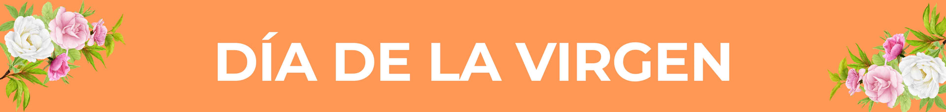 Día de la Virgen