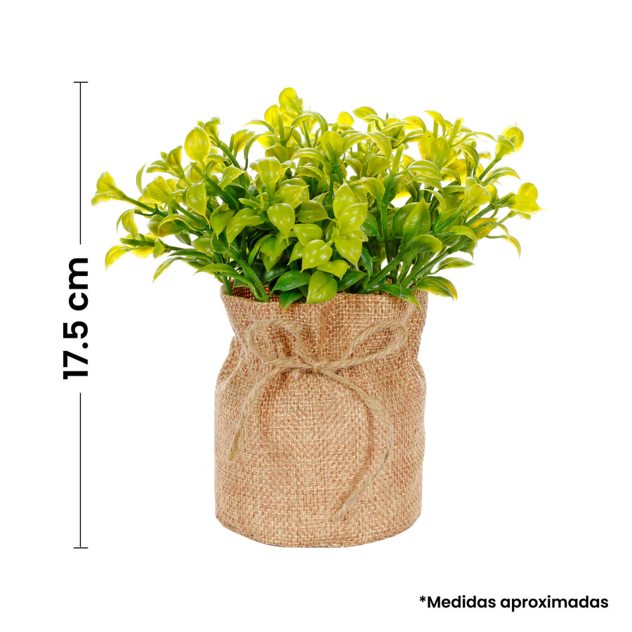 Art.10539 Planta Base De Yute 17.5cm 1pz