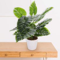 Art.11248 Plantas X12 Hojas 45cm 1pz
