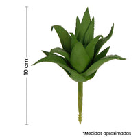 Art.1799 Cactus Chico Sin Maceta 10cm 1pz