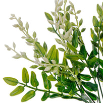 Art.2384 Planta Fina x5 37cm 1pz