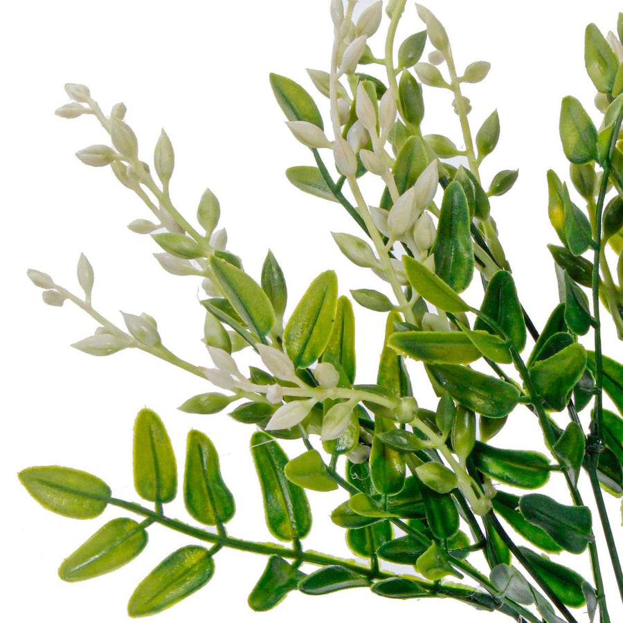 Art.2384 Planta Fina x5 37cm 1pz