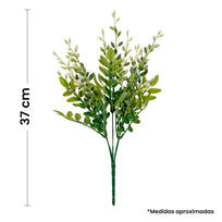 Art.2384 Planta Fina x5 37cm 1pz