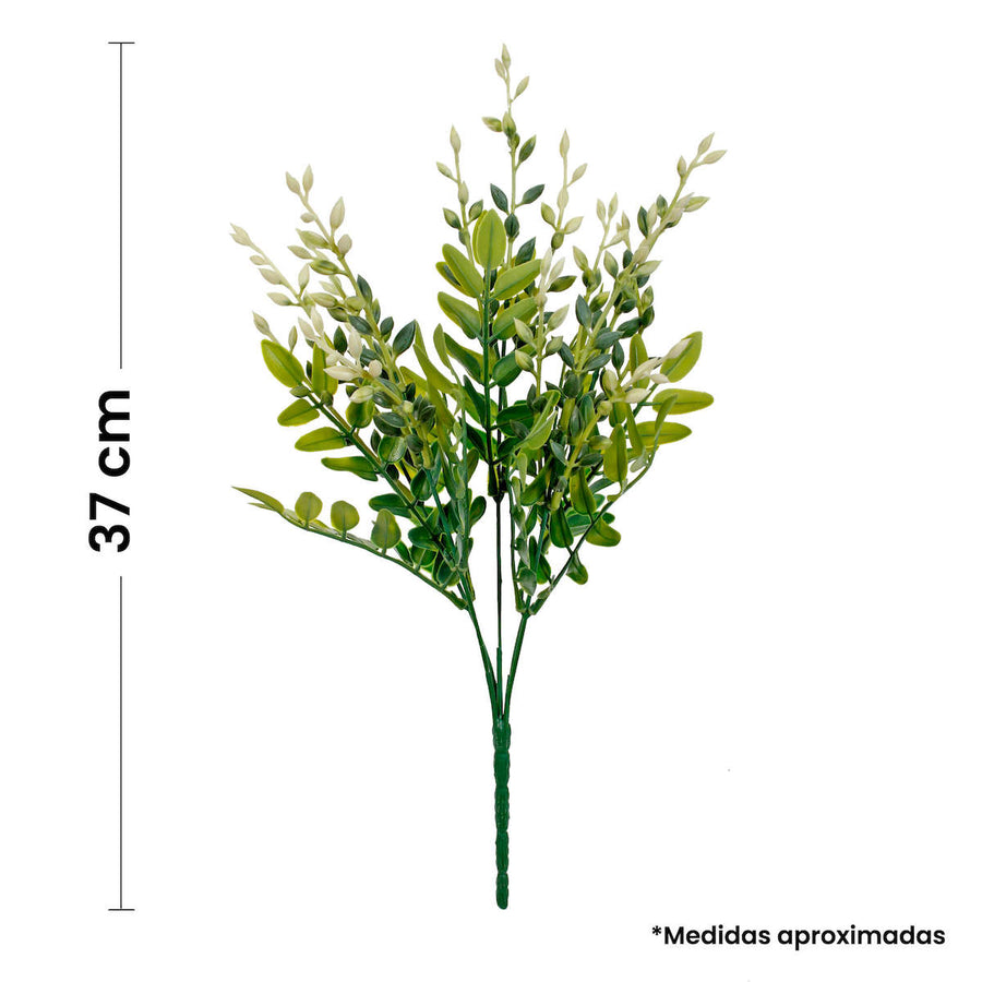 Art.2384 Planta Fina x5 37cm 1pz