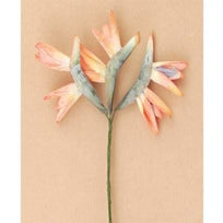 Art.2595 Ramito X3 Ave Paraíso Látex