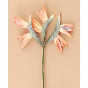 Art.2595 Ramito X3 Ave Paraíso Látex