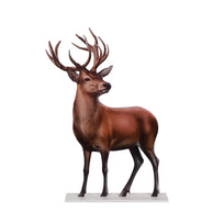 Art.509 Reno Chico 40.5x28cm