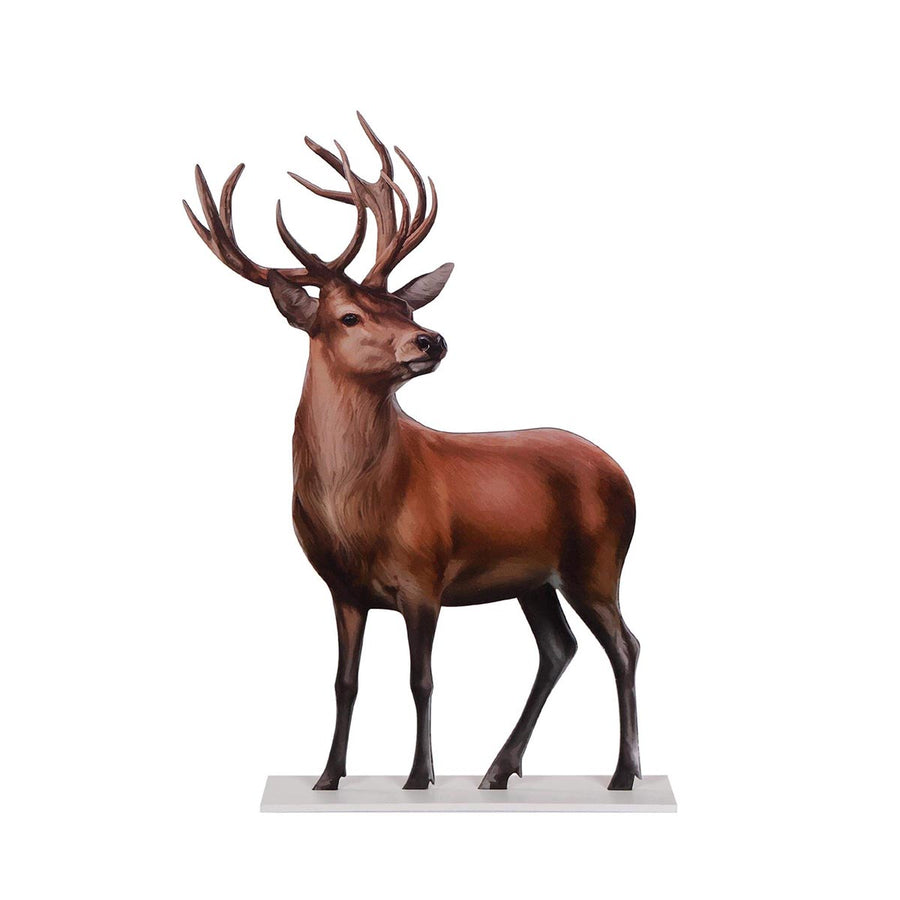 Art.509 Reno Chico 40.5x28cm