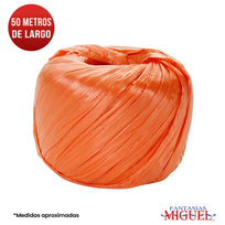 Art.5409 Rafia Decorativa 50g 1pz