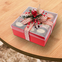 Art.7978 Caja Con Tapa Transparente 10x25x25cm 1pz