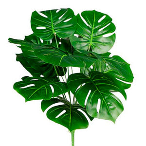 Plantas y Enredaderas