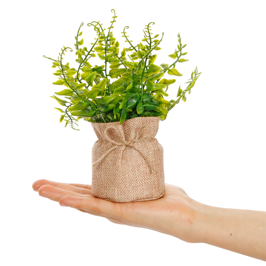 Art.10538 Planta Base De Yute 17.5cm 1pz