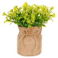 Art.10539 Planta 17.5cm Base D/Yute