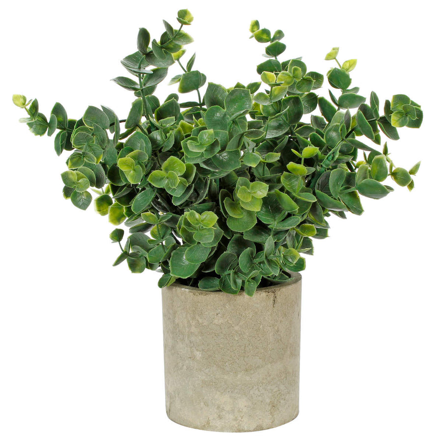 Art.10576 Planta Grd 19cm Base Fina