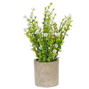 Art.10581 Planta C/Flor 19cm Base Fina