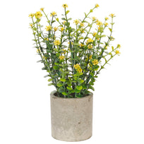 Art.10581 Planta C/Flor 19cm Base Fina