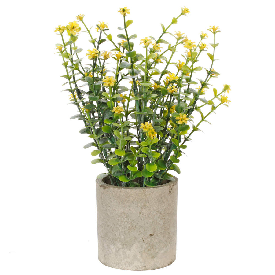 Art.10581 Planta C/Flor 19cm Base Fina