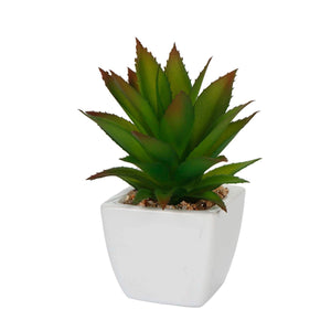 Art.1602 Cactus Con Base Cerámica