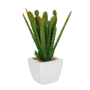 Art.1649 Cactus Con Base Cerámica