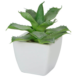 Art.1682 Cactus Con Base Cerámica