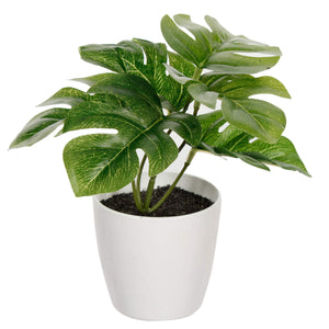 Art.257 Mini Planta C/Maceta 17cm