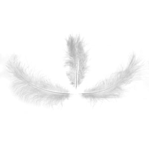 Art.3076 Pluma De Marabou