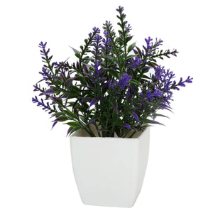 Art.3292 Arreglo Plantital Con Base