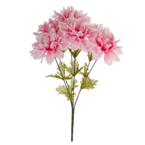 Art.3670 Bush Dalia Fino X6