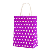 Art.4215 Bolsa Con Puntos Y Agarradera