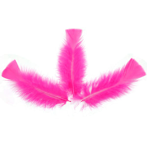 Art.4724 Pluma