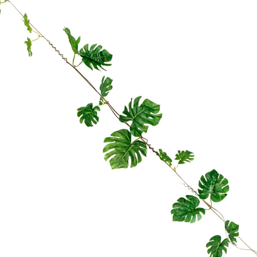 Art.7218 Enredadera En Tira