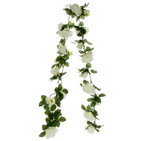 Art.8965 Guía Con 10 Rosas Y 10 Botones