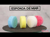 Fantasías Miguel Clave:AN471 Esponja De Mar