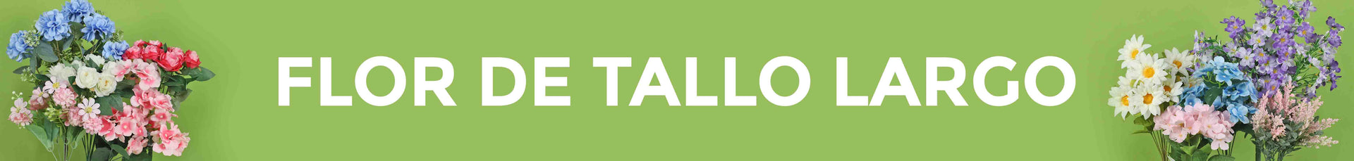 Flor de Tallo Largo