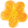 image variant Naranja