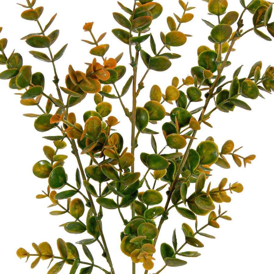 Art.10582 Vara De Eucalipto x3 65cm 1pz