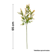 Art.10582 Vara De Eucalipto x3 65cm 1pz
