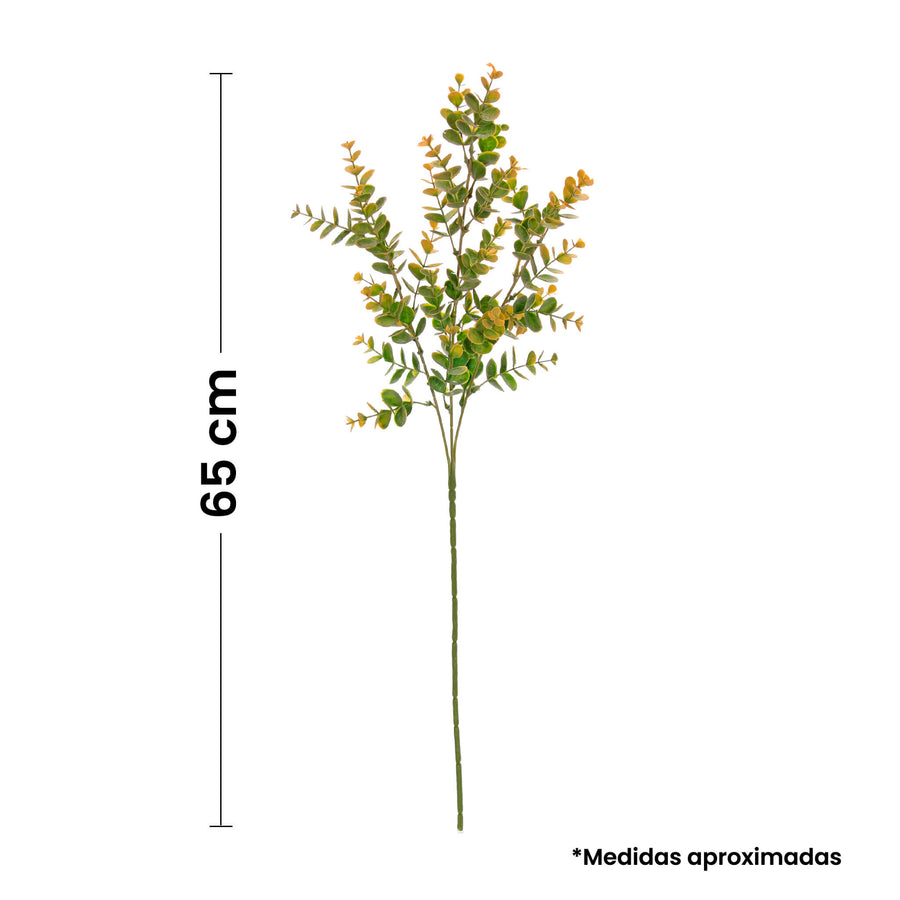 Art.10582 Vara De Eucalipto x3 65cm 1pz