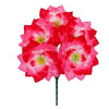 image variant Rosa