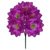 image variant Morado