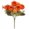 image variant Naranja