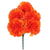 image variant Naranja