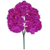 image variant Morado