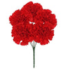 image variant Rojo