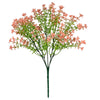 image variant Coral
