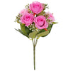image variant Rosa