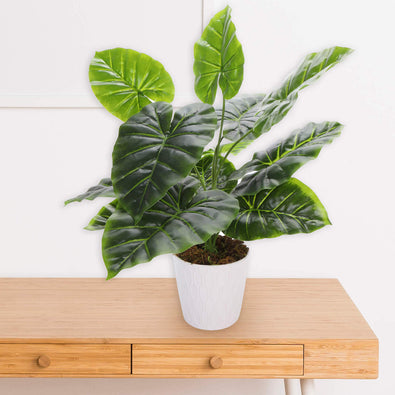 Fantasías Miguel Art.11248 Plantas X12 Hojas 45cm 1pz