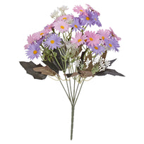Art.11256 Bush Margarita x6
